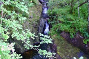 2006-08-24_164716 WHW_Day 3, Inverarnan > Tyndrum > Bridge of Orchy, Scotland UK_4web