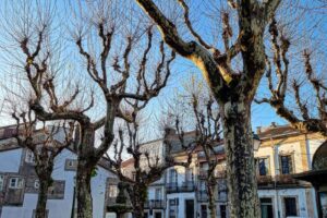 20220402_Santiago de Compostela, Espanha - Instagram - 013_4web